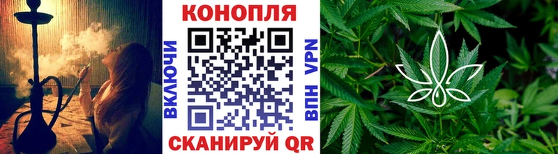 наркота  Обоянь  Канабис тримм 